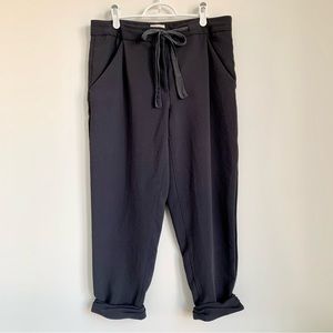 Aritzia Wilfred Dress Pants - Allant 🦛🦏